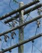 Thumbnail of Cross Arms in situ on a power pole