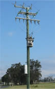 Picture of Cross Arms on power poll
