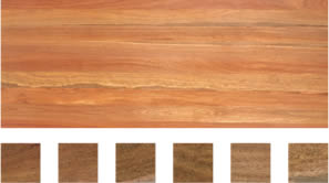 Select grade sample of Spotted Gum flooring