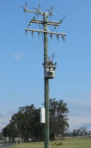 Image 1 of Electricity Power Poles showing straightness and height