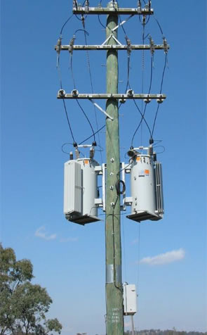 Image 2 of Electricity Power Poles showing straightness and height