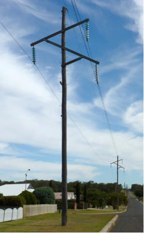image 3 of Electricity Power Poles showing straightness and height