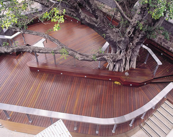 Large image of Select Grade spotted gum decking around a tree area at the Normanby Hotel Brisbane